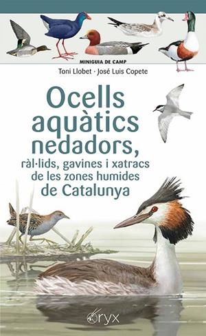 OCELLS AQUÀTICS NEDADORS RÀL·LIDS GAVINES I XATRACS DE LES ZONES HUMIDES DE CATALUNYA | 9788413564883 | COPETE, JOSÉ LUIS | Llibreria Online de Vilafranca del Penedès | Comprar llibres en català