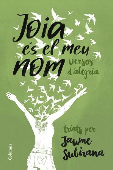 JOIA ÉS EL MEU NOM | 9788466433754 | SUBIRANA, JAUME | Llibreria Online de Vilafranca del Penedès | Comprar llibres en català