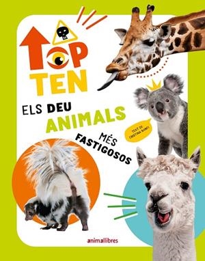 TOP TEN ELS DEU ANIMALS MÉS FASTIGOSOS | 9788410302273 | CRISTINA BANFI | Llibreria Online de Vilafranca del Penedès | Comprar llibres en català