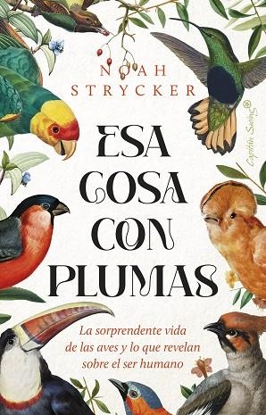 ESA COSA CON PLUMAS | 9788412953114 | STRYCK, NOAH KEEFER | Llibreria Online de Vilafranca del Penedès | Comprar llibres en català