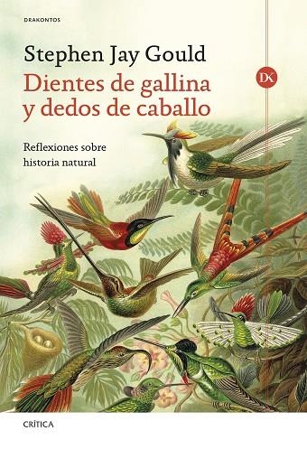 DIENTES DE GALLINA Y DEDOS DE CABALLO | 9788491997849 | GOULD, STEPHEN JAY | Llibreria L'Odissea - Libreria Online de Vilafranca del Penedès - Comprar libros