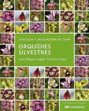 ORQUÍDIES SILVESTRES | 9788413564920 | ANGLADE, JEAN-PHILIPPE/LE DRIANT, FRANCK | Llibreria L'Odissea - Libreria Online de Vilafranca del Penedès - Comprar libros