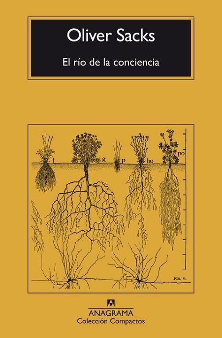 EL RÍO DE LA CONCIENCIA | 9788433946867 | SACKS, OLIVER | Llibreria Online de Vilafranca del Penedès | Comprar llibres en català