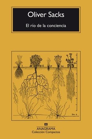 EL RÍO DE LA CONCIENCIA | 9788433946867 | SACKS, OLIVER | Llibreria Online de Vilafranca del Penedès | Comprar llibres en català