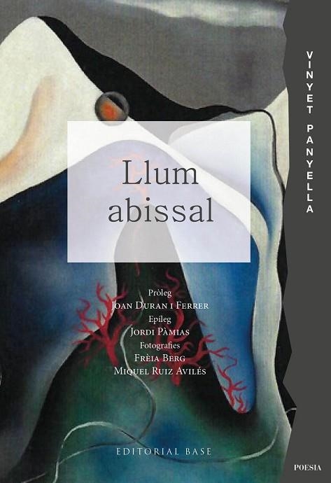 LLUM ABISSAL | 9791387728021 | PANYELLA, VINYET | Llibreria Online de Vilafranca del Penedès | Comprar llibres en català