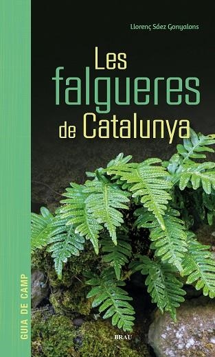 LES FALGUERES DE CATALUNYA | 9791387701017 | SÁEZ GONYALONS, LLORENÇ | Llibreria L'Odissea - Libreria Online de Vilafranca del Penedès - Comprar libros