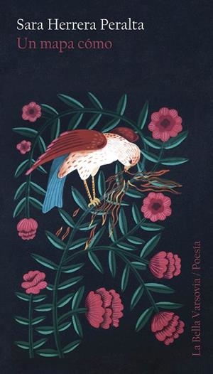 UN MAPA CÓMO | 9788412437959 | HERRERA PERALTA, SARA | Llibreria Online de Vilafranca del Penedès | Comprar llibres en català