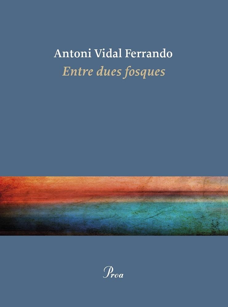 ENTRE DUES FOSQUES | 9788410488434 | VIDAL FERRANDO, ANTONI | Llibreria Online de Vilafranca del Penedès | Comprar llibres en català