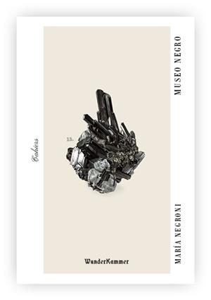 MUSEO NEGRO | 9788412743142 | NEGRONI, MARÍA | Llibreria Online de Vilafranca del Penedès | Comprar llibres en català