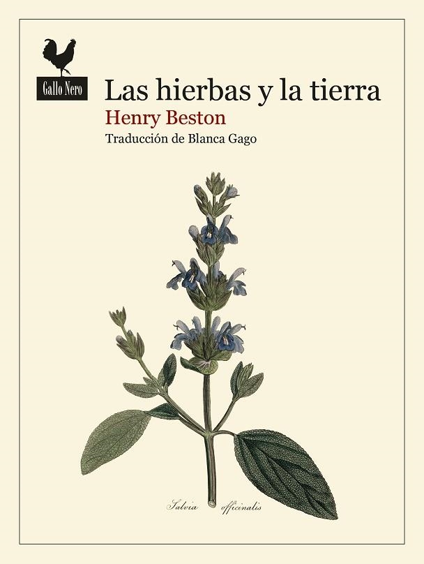 LAS HIERBAS Y LA TIERRA | 9788419168740 | BESTON, HENRY | Llibreria L'Odissea - Libreria Online de Vilafranca del Penedès - Comprar libros