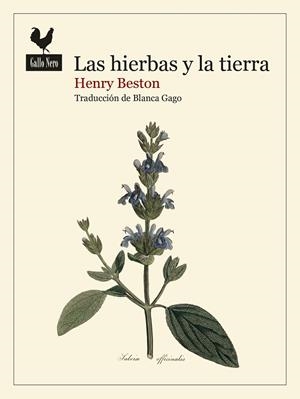 LAS HIERBAS Y LA TIERRA | 9788419168740 | BESTON, HENRY | Llibreria Online de Vilafranca del Penedès | Comprar llibres en català