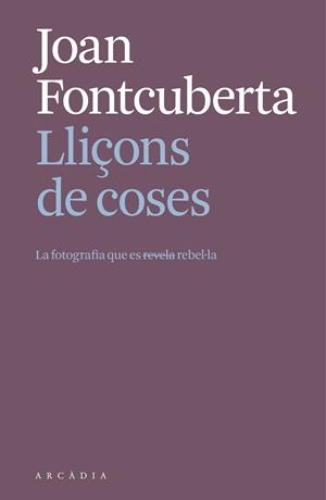 LLIÇONS DE COSES | 9788412999709 | FONTCUBERTA I VILLÀ, JOAN | Llibreria Online de Vilafranca del Penedès | Comprar llibres en català