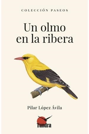 UN OLMO EN LA RIBERA | 9788419624987 | LÓPEZ ÁVILA, PILAR | Llibreria Online de Vilafranca del Penedès | Comprar llibres en català