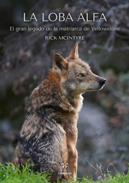 LA LOBA ALFA | 9788412949001 | MCINTYRE, RICK | Llibreria L'Odissea - Libreria Online de Vilafranca del Penedès - Comprar libros