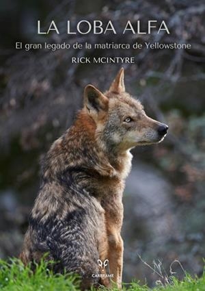 LA LOBA ALFA | 9788412949001 | MCINTYRE, RICK | Llibreria Online de Vilafranca del Penedès | Comprar llibres en català