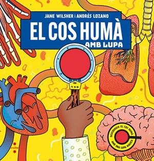 EL COS HUMÀ AMB LUPA | 9788466159074 | WILSHER, JANE/LOZANO, ANDRÉS | Llibreria Online de Vilafranca del Penedès | Comprar llibres en català