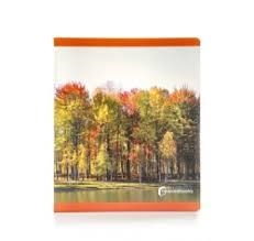 OTOÑO | 9788412960532 | Llibreria Online de Vilafranca del Penedès | Comprar llibres en català