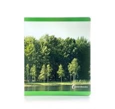 PRIMAVERA | 9788412960549 | Llibreria Online de Vilafranca del Penedès | Comprar llibres en català