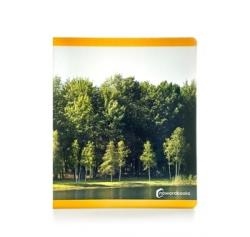 VERANO | 9788412960556 | Llibreria Online de Vilafranca del Penedès | Comprar llibres en català