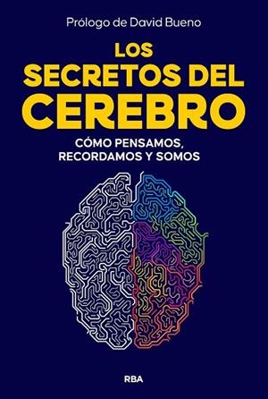 LOS SECRETOS DEL CEREBRO | 9788410981249 | Llibreria Online de Vilafranca del Penedès | Comprar llibres en català