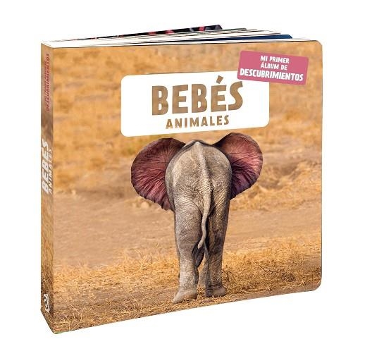 BEBÉS ANIMALES | 9788418762116 | NATURAGENCY | Llibreria L'Odissea - Libreria Online de Vilafranca del Penedès - Comprar libros