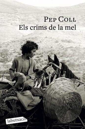 ELS CRIMS DE LA MEL | 9791387802196 | COLL, PEP | Llibreria L'Odissea - Libreria Online de Vilafranca del Penedès - Comprar libros