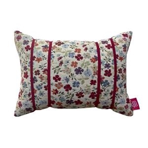 COIXI DE LECTURA DÀLIES | 8437018173532 | Llibreria L'Odissea - Libreria Online de Vilafranca del Penedès - Comprar libros