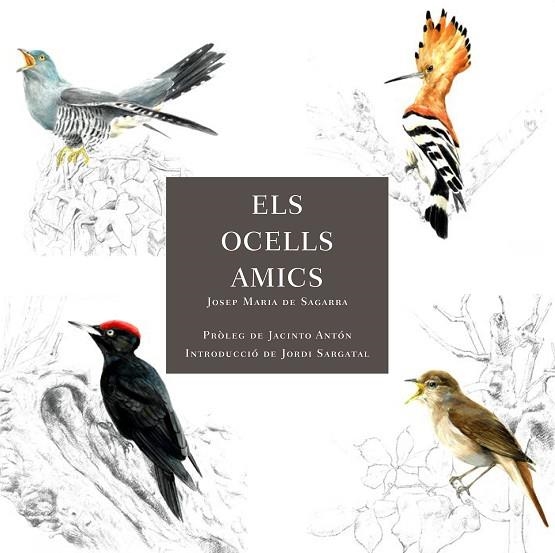 ELS OCELLS AMICS | 9788412949025 | DE SAGARRA, JOSEP MARIA | Llibreria Online de Vilafranca del Penedès | Comprar llibres en català