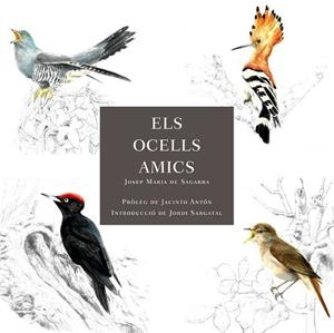 ELS OCELLS AMICS | 9788412949025 | DE SAGARRA, JOSEP MARIA | Llibreria Online de Vilafranca del Penedès | Comprar llibres en català