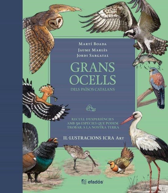 GRANS OCELLS DELS PAÏSOS CATALANS | 9791387658236 | BOADA, MARTI/SARGATAL, JORDI/MARLÉS, JAUME | Llibreria Online de Vilafranca del Penedès | Comprar llibres en català