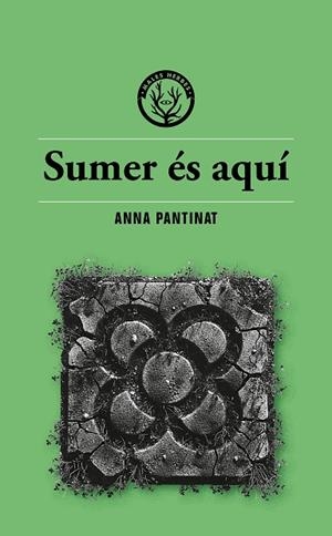SUMER ÉS AQUÍ | 9791399014686 | ANNA PANTINAT | Llibreria Online de Vilafranca del Penedès | Comprar llibres en català