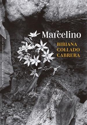 MARCELINO | 9788410476431 | COLLADO CABRERA, BIBIANA | Llibreria Online de Vilafranca del Penedès | Comprar llibres en català