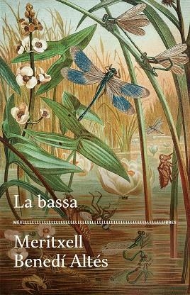 LA BASSA | 9788417353728 | BENEDÍ, MERITXELL | Llibreria L'Odissea - Libreria Online de Vilafranca del Penedès - Comprar libros