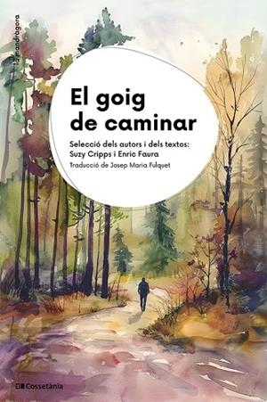 EL GOIG DE CAMINAR | 9788413565750 | AUTORS, DIVERSOS | Llibreria Online de Vilafranca del Penedès | Comprar llibres en català