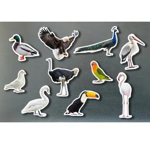 MAGNÉTICOS AVES | 0760412890889 | AA.VV. | Llibreria Online de Vilafranca del Penedès | Comprar llibres en català