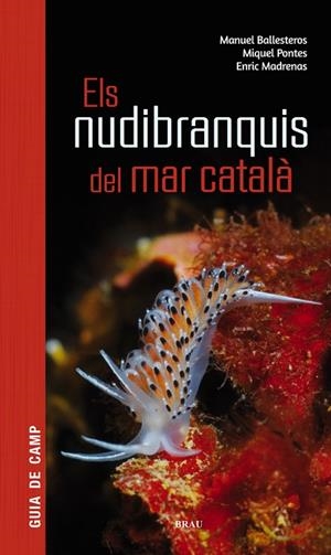 ELS NUDIBRANQUIS DEL MAR CATALÀ | 9788415885924 | BALLESTEROS VÁZQUEZ, MANUEL/PONTES GARCIA, MIQUEL/MADRENAS TOMÀS, ENRIC | Llibreria Online de Vilafranca del Penedès | Comprar llibres en català