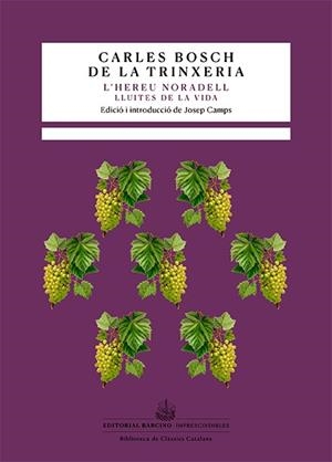 L'HEREU NORADELL | 9788416726615 | BOSCH DE LA TRINXERIA, CARLES | Llibreria L'Odissea - Libreria Online de Vilafranca del Penedès - Comprar libros