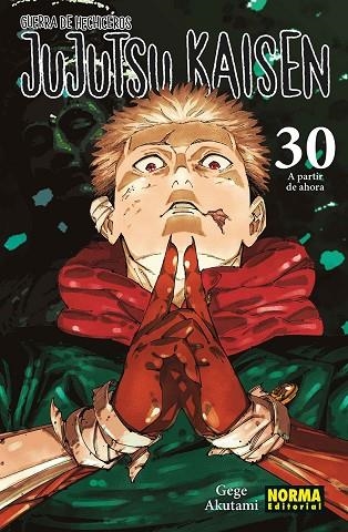 JUJUTSU KAISEN 30 | 9788467975833 | AKUTAMI, GEGE | Llibreria Online de Vilafranca del Penedès | Comprar llibres en català