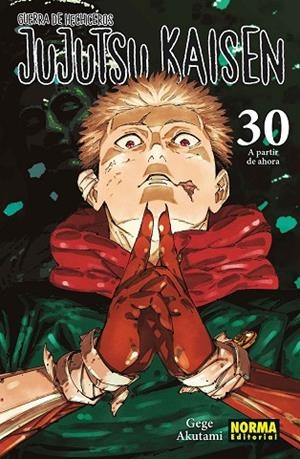 JUJUTSU KAISEN 30 | 9788467975833 | AKUTAMI, GEGE | Llibreria Online de Vilafranca del Penedès | Comprar llibres en català
