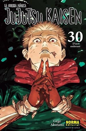 JUJUTSU KAISEN 30 CATALA | 9788467976281 | AKUTAMI, GEGE | Llibreria Online de Vilafranca del Penedès | Comprar llibres en català