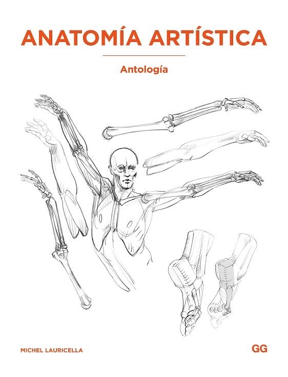 ANATOMÍA ARTÍSTICA: ANTOLOGÍA | 9788425236440 | LAURICELLA, MICHEL | Llibreria L'Odissea - Libreria Online de Vilafranca del Penedès - Comprar libros