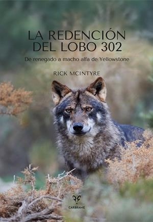 LA REDENCIÓN DEL LOBO 302 | 9788412949094 | MCINTYRE, RICK | Llibreria L'Odissea - Libreria Online de Vilafranca del Penedès - Comprar libros