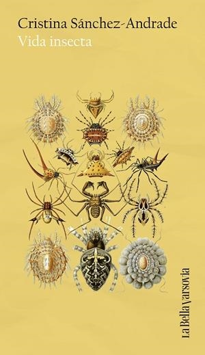 VIDA INSECTA | 9788433949653 | SÁNCHEZ-ANDRADE, CRISTINA | Llibreria Online de Vilafranca del Penedès | Comprar llibres en català