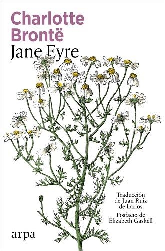 JANE EYRE | 9791387833947 | BRONTË, CHARLOTTE | Llibreria L'Odissea - Libreria Online de Vilafranca del Penedès - Comprar libros