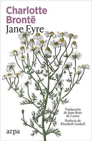 JANE EYRE | 9791387833947 | BRONTË, CHARLOTTE | Llibreria L'Odissea - Libreria Online de Vilafranca del Penedès - Comprar libros