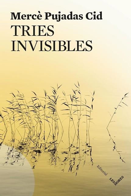 TRIES INVISIBLES | 9791399072150 | PUJADAS CID, MERCÈ | Llibreria Online de Vilafranca del Penedès | Comprar llibres en català