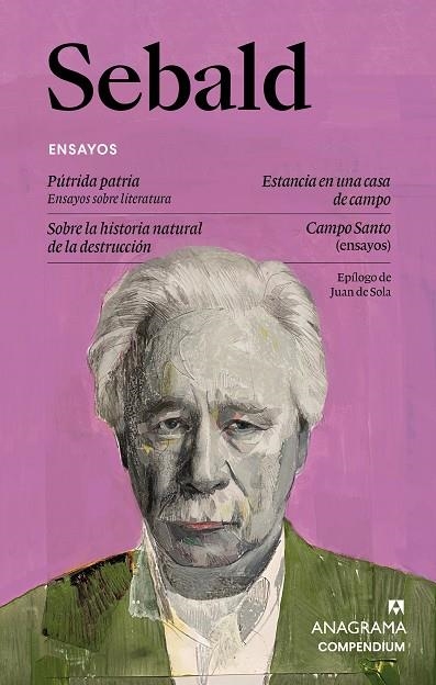 ENSAYOS | 9788433949585 | SEBALD, W.G. | Llibreria L'Odissea - Libreria Online de Vilafranca del Penedès - Comprar libros