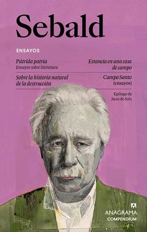 ENSAYOS | 9788433949585 | SEBALD, W.G. | Llibreria L'Odissea - Libreria Online de Vilafranca del Penedès - Comprar libros