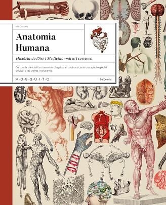 ANATOMIA HUMANA | 9788410417724 | CASSANY, MIA | Llibreria Online de Vilafranca del Penedès | Comprar llibres en català