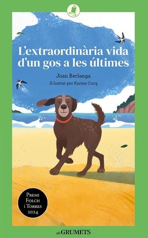 L'EXTRAORDINÀRIA VIDA D'UN GOS A LES ÚLTIMES | 9788424677893 | BERLANGA SARRASECA, JOAN | Llibreria Online de Vilafranca del Penedès | Comprar llibres en català